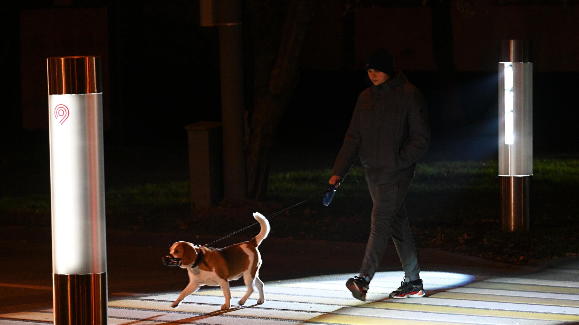 Мужчина гуляет с собакой - РИА Новости, 1920, 21.05.2023