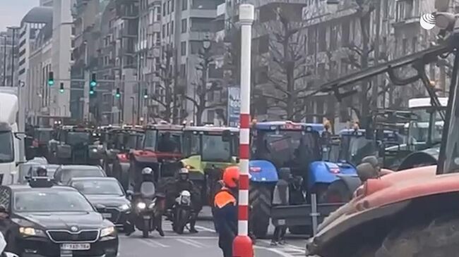 Трактористы заблокировали центр Брюсселя на митинге против закрытия ферм ради экологии