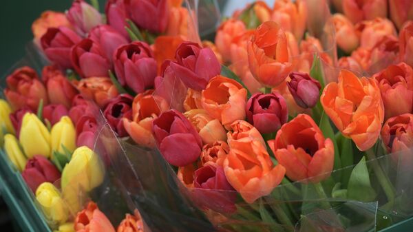 Продажа цветов к 8 марта в Московской области