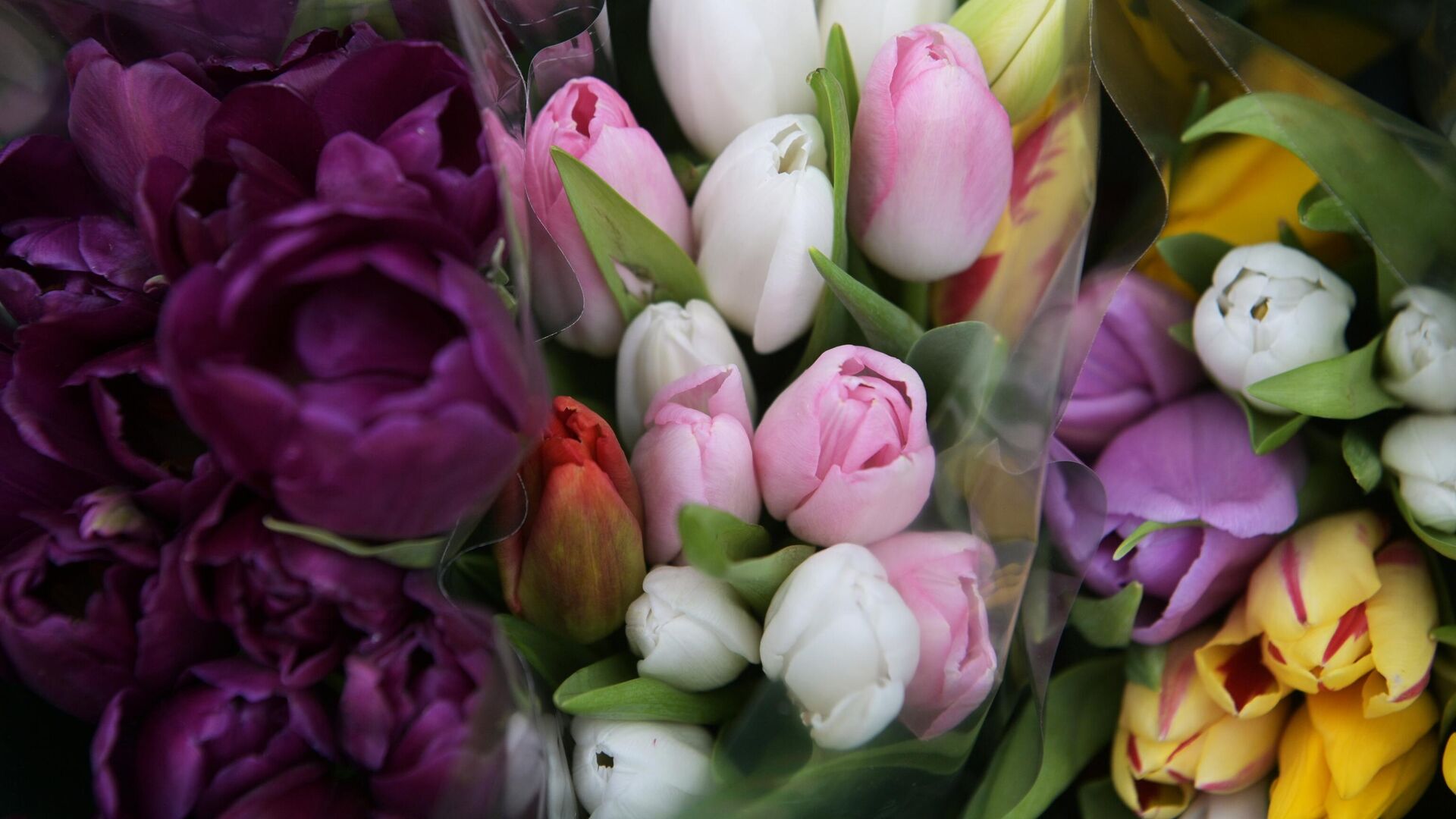 Продажа цветов к 8 марта - РИА Новости, 1920, 07.03.2025