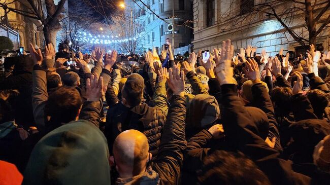 Митингующие у парламента в Тбилиси