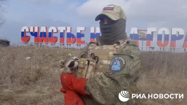 Российские десантники с енотом Херси поздравили всех женщин с 8 марта. Кадр видео
