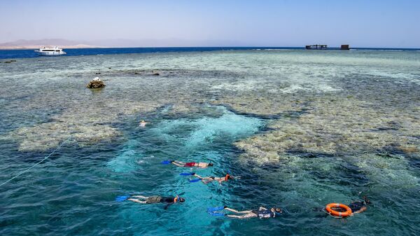Сноркелинг у коралловых рифов в Красном море, Шарм-эш-Шейх, Египет