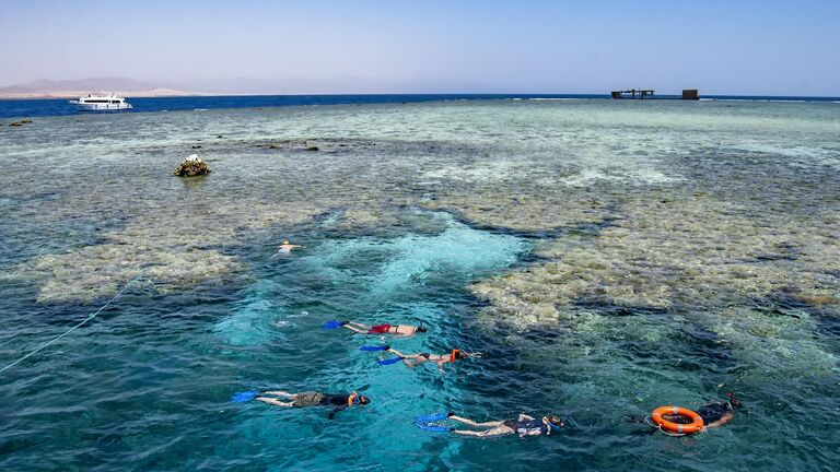 Сноркелинг у коралловых рифов в Красном море, Шарм-эш-Шейх, Египет