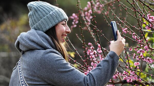 Девушка фотографирует цветы миндаля на мобильный телефон в Никитском ботаническом саду в Ялте