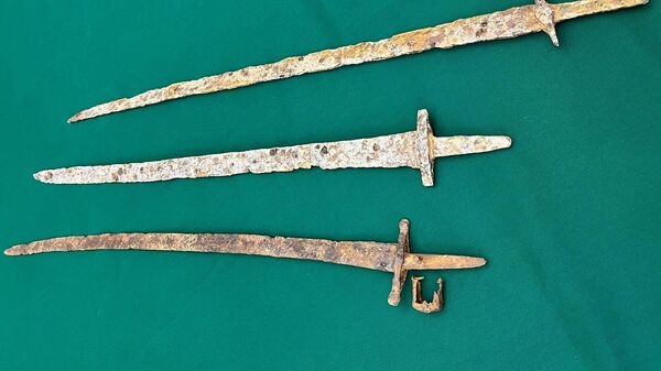 Таможня США передала Украине три древних меча и каменный топор, которые были обнаружены в посылке из России