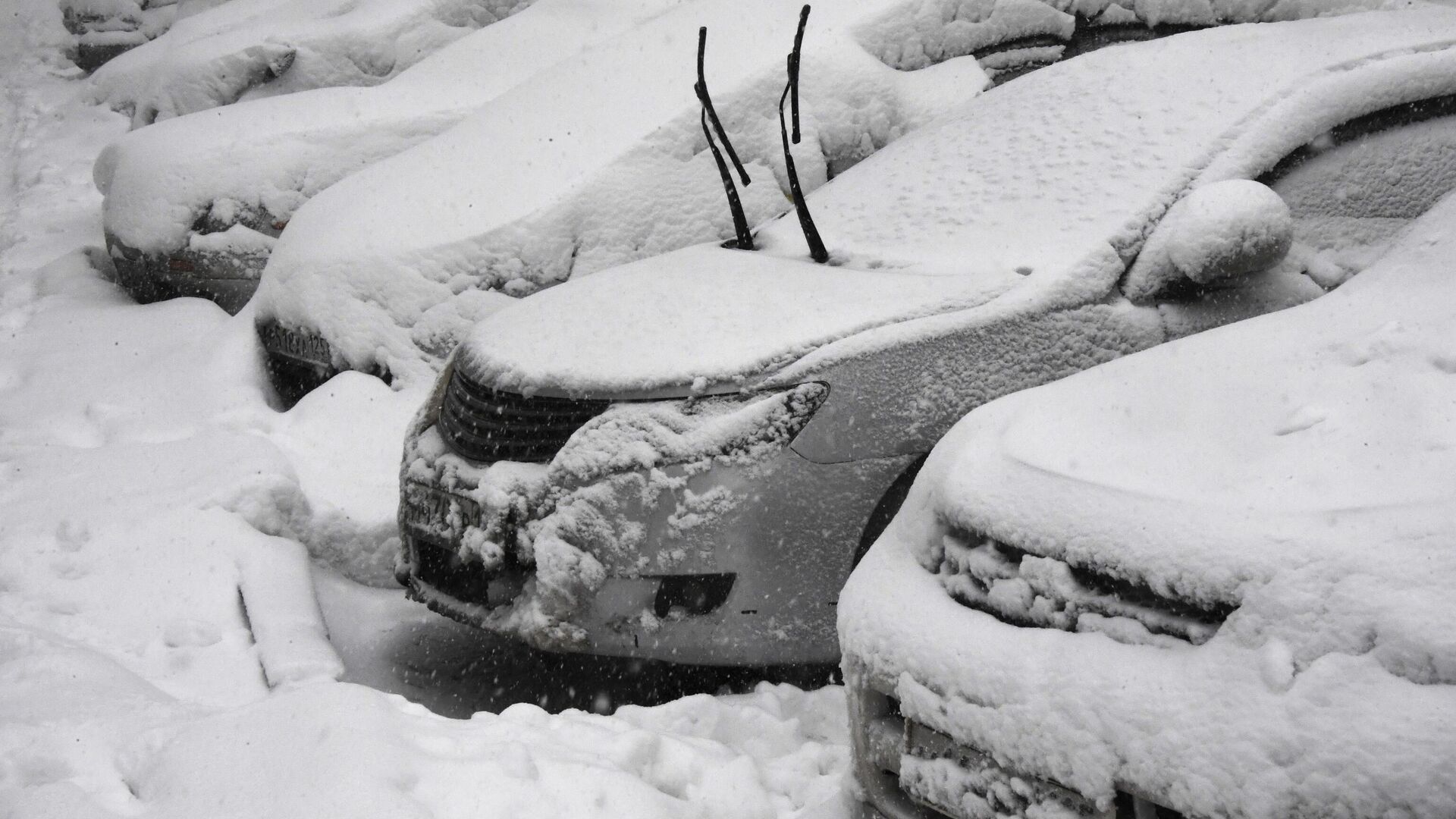 Заснеженные машины - РИА Новости, 1920, 21.12.2025