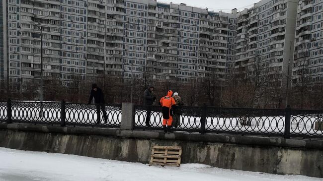 Московские спасатели спасли кота от стаи ворон на Коломенской набережной