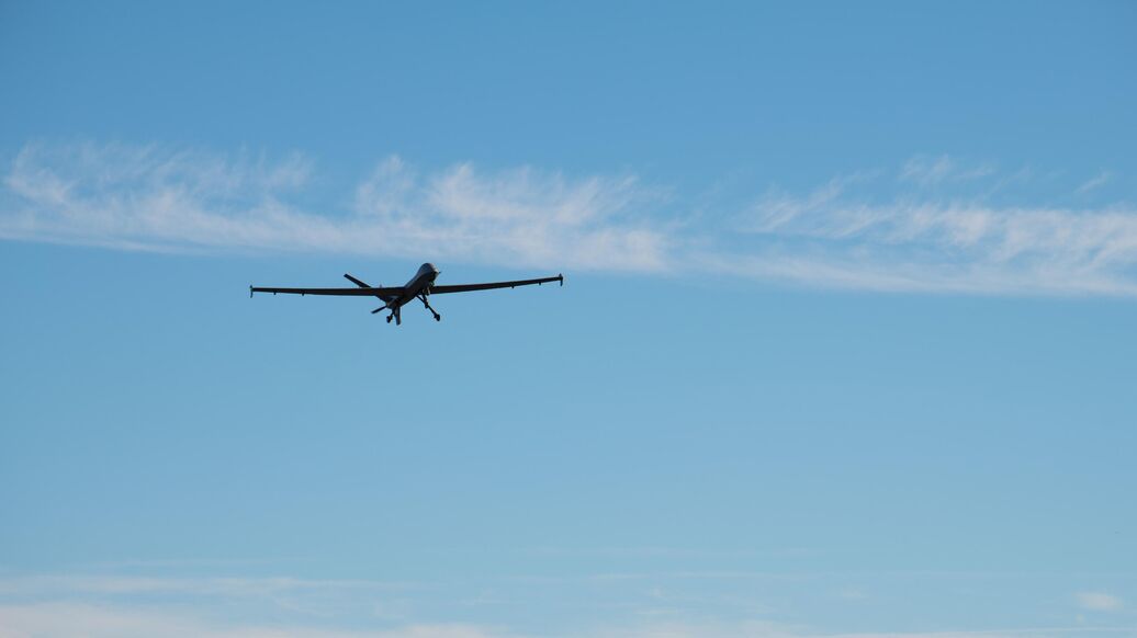 В Воронежской области объявили бесполетную опасность