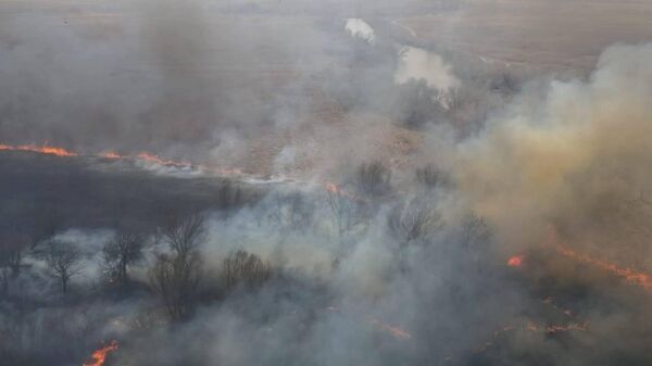 Пожар в Астраханском заповеднике