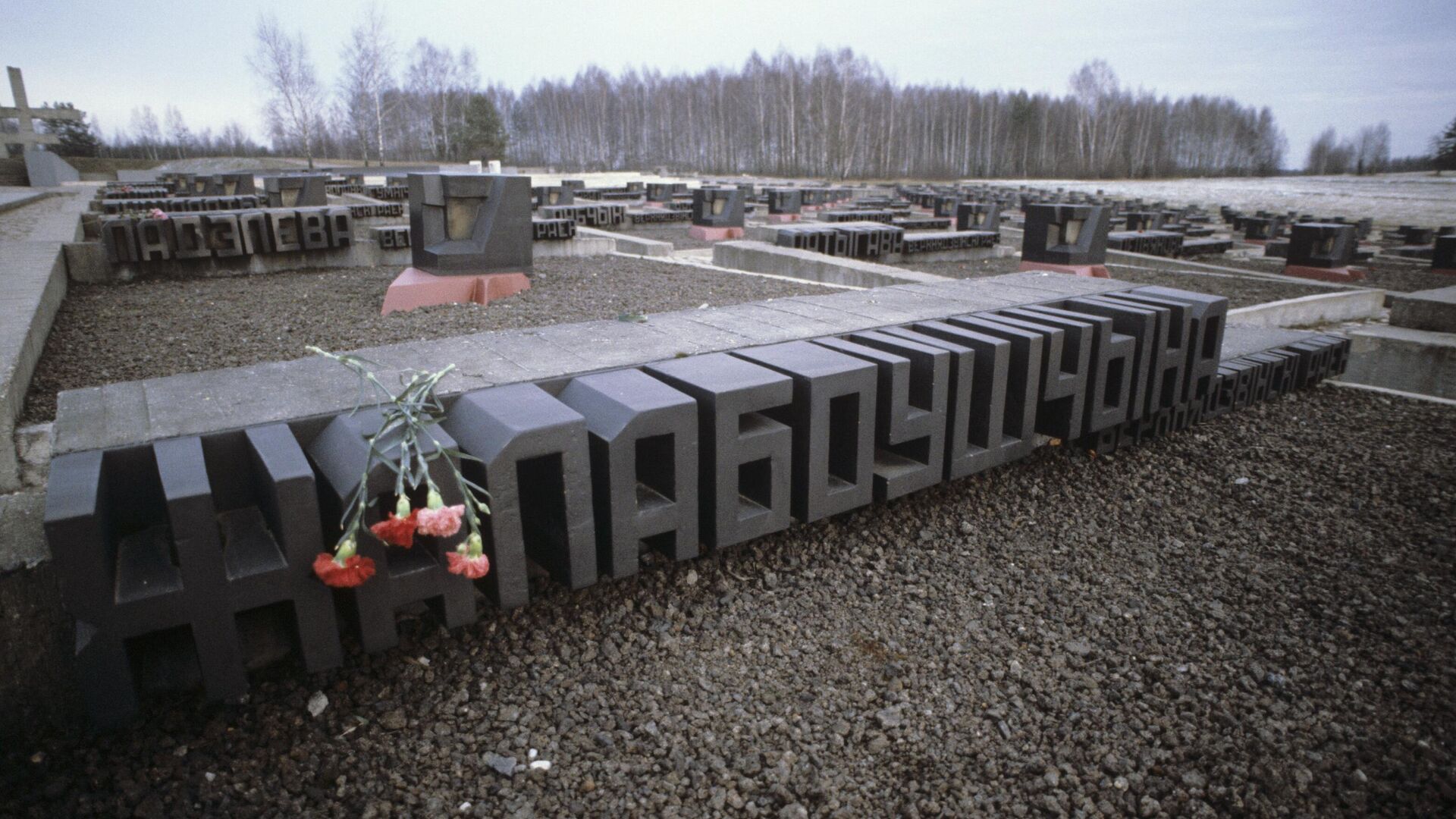 Белорусская ССР, мемориальный комплекс Хатынь, 1985 год, Кладбище деревень, символизирующее 186 невозрожденных белорусских деревень, сожженных немецкими оккупантами вместе с жителями - РИА Новости, 1920, 22.03.2023