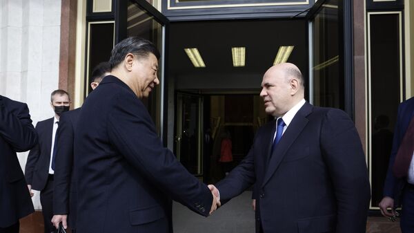 Председатель правительства России Михаил Мишустин и председатель Китайской Народной Республики (КНР) Си Цзиньпин во время встречи