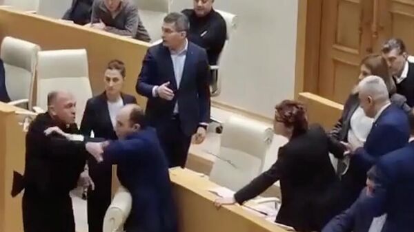 Депутаты грузинского парламента на пленарном заседании оскорбили и бросили друг в друга микрофоны при рассмотрении кодекса обороны
