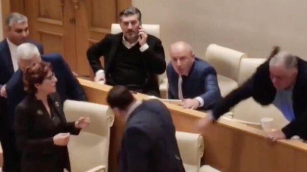 Кадр видео заседания парламента Грузии
