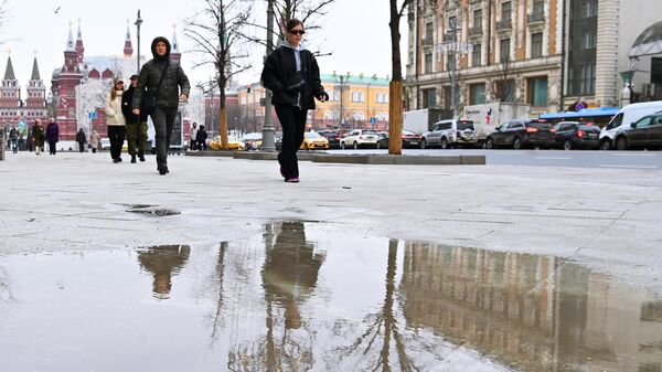 Оттепель зимой в Москве
