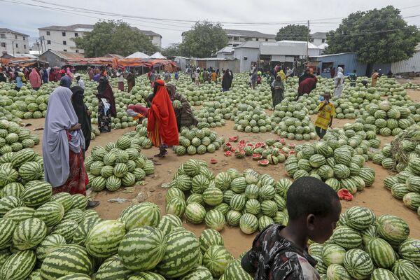 Сомалийцы покупают арбузы к священному месяцу Рамадан на рынке в Могадишо