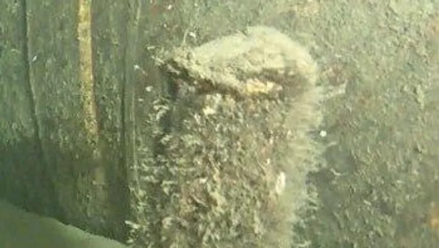 Объект, найденный в 30 километрах от места взрыва на Северных потоках Объект, найденный в 30 километрах от места взрыва на Северных потоках - РИА Новости, 1920, 24.03.2023