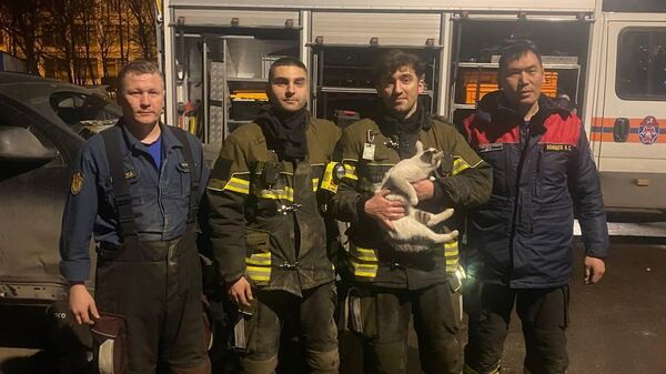 Спасатели с котом, который застрял а автомобиле в Бирюлево Восточном
