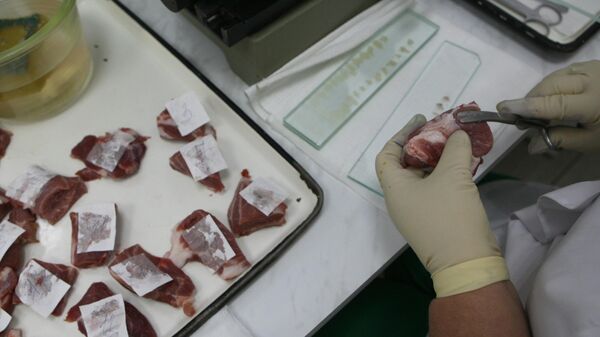 Проверка качества мяса в лаборатории ветеринарно-санитарной экспертизы