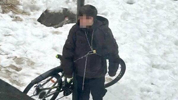 Ученик одной из школ Нижнего Новгорода приковал себя цепью к столбу
