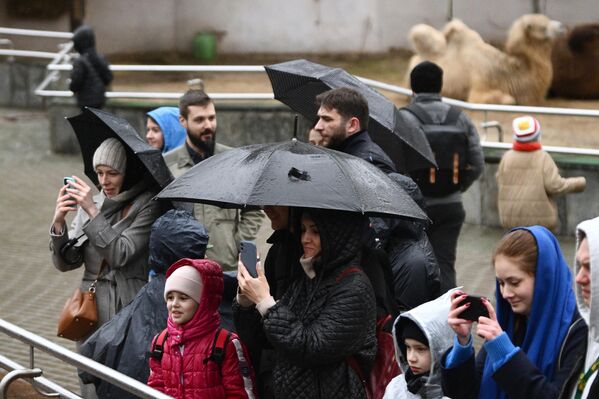 Посетители у вольера с медведями в Московском зоопарке