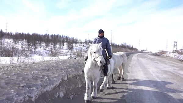 Всадник-экстремал о конном походе из Якутии на Колыму при -58°
