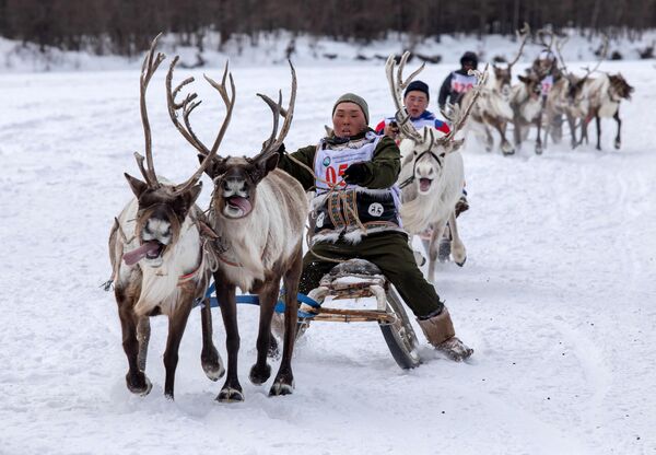 Участники гонок на оленьих упряжках, которые проходят в рамках международного чемпионата по традиционному оленеводству в Якутии