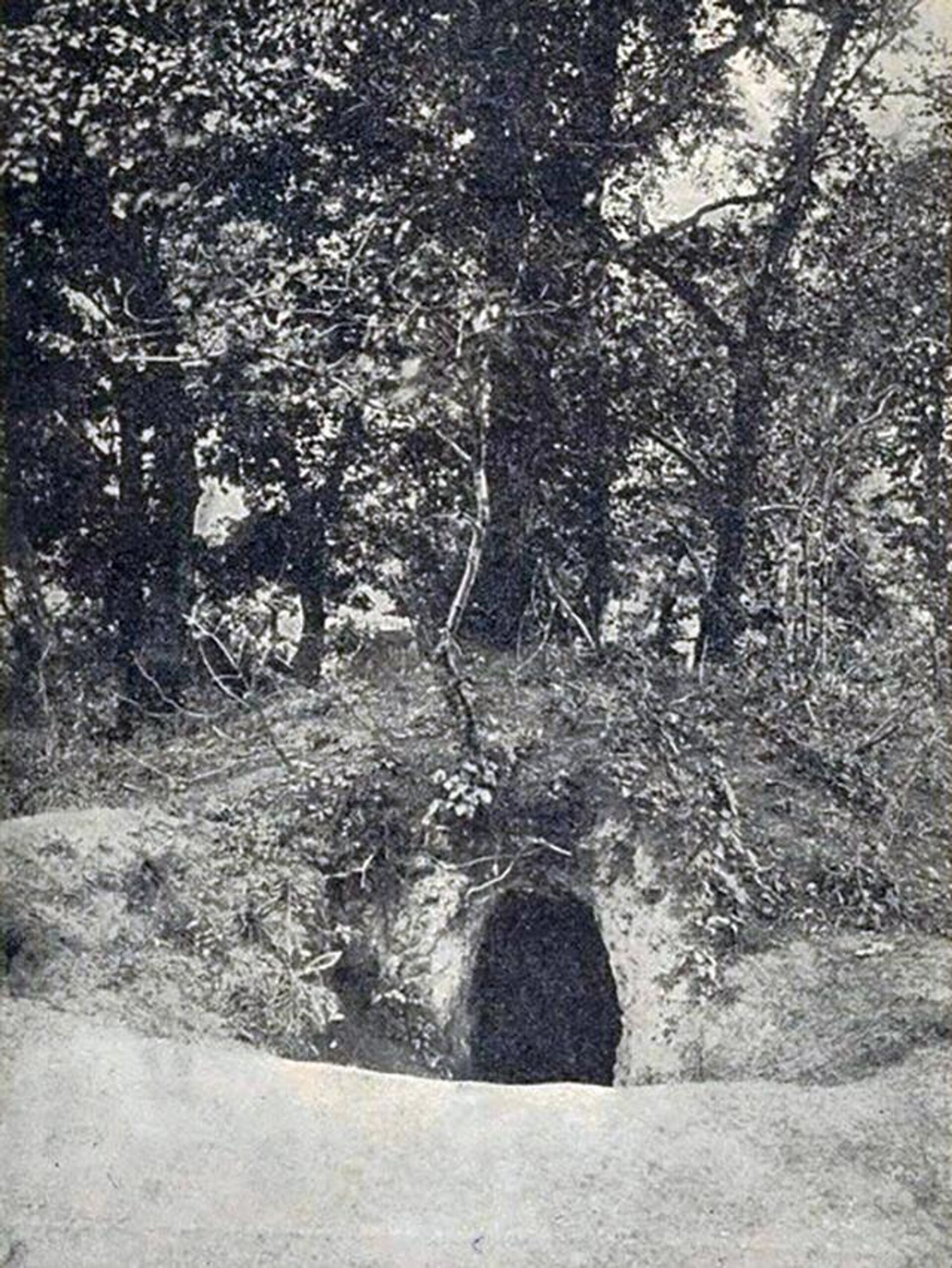 Пещера, в которой нашли тело Андрея Ющинского - РИА Новости, 1920, 31.03.2023
