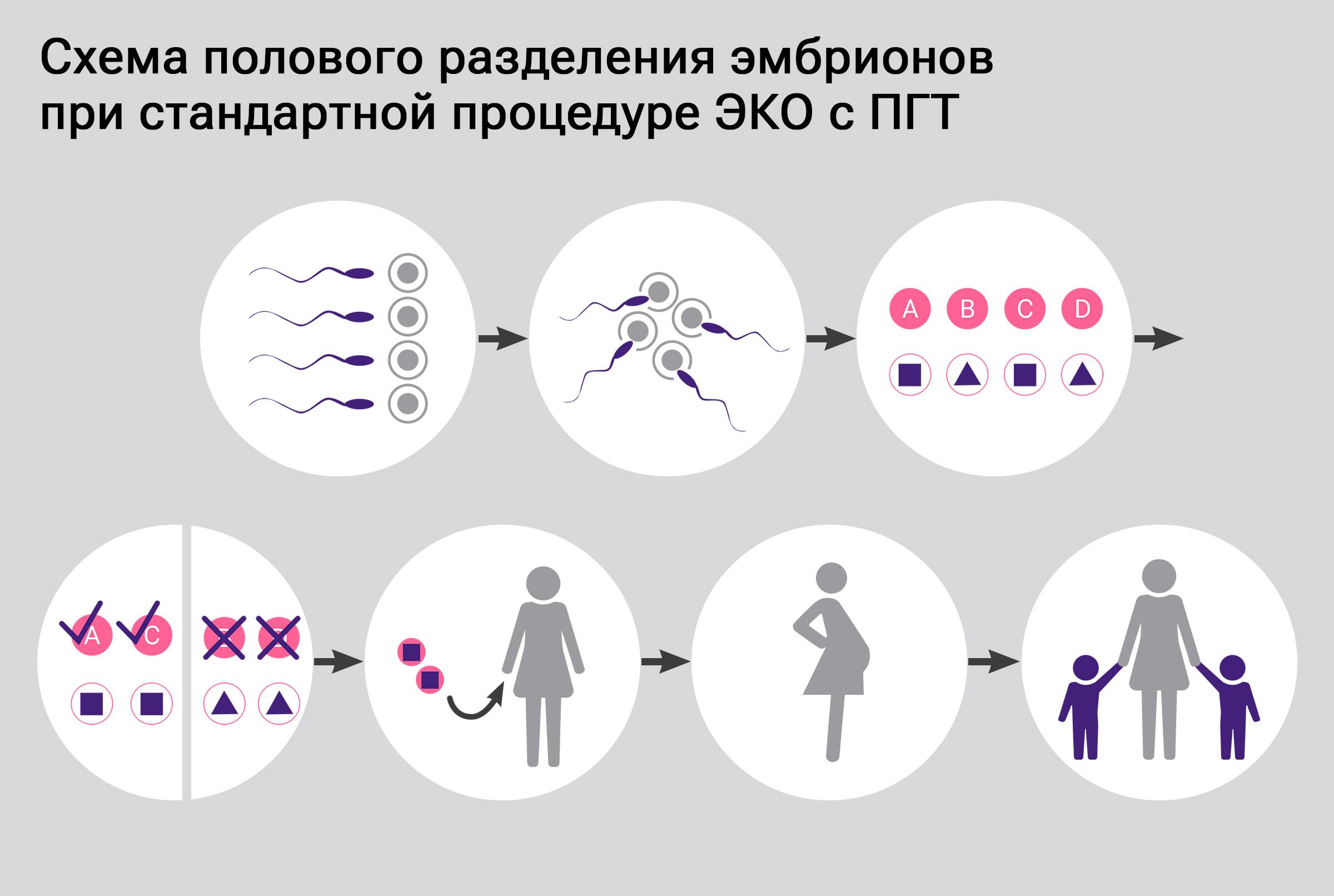 Работает на восемьдесят процентов: ученые нашли способ выбирать пол ребенка  - РИА Новости, 03.04.2023