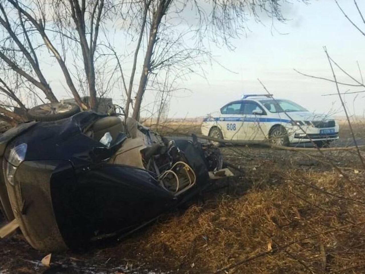 В Кузбассе автомобиль въехал в грузовик и в дерево, двое человек погибли -  РИА Новости, 31.03.2023