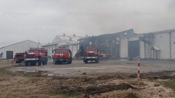 Пожар на птицеводческой ферме в Брянской области