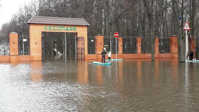 Сапсерферы в Рязани во время половодья