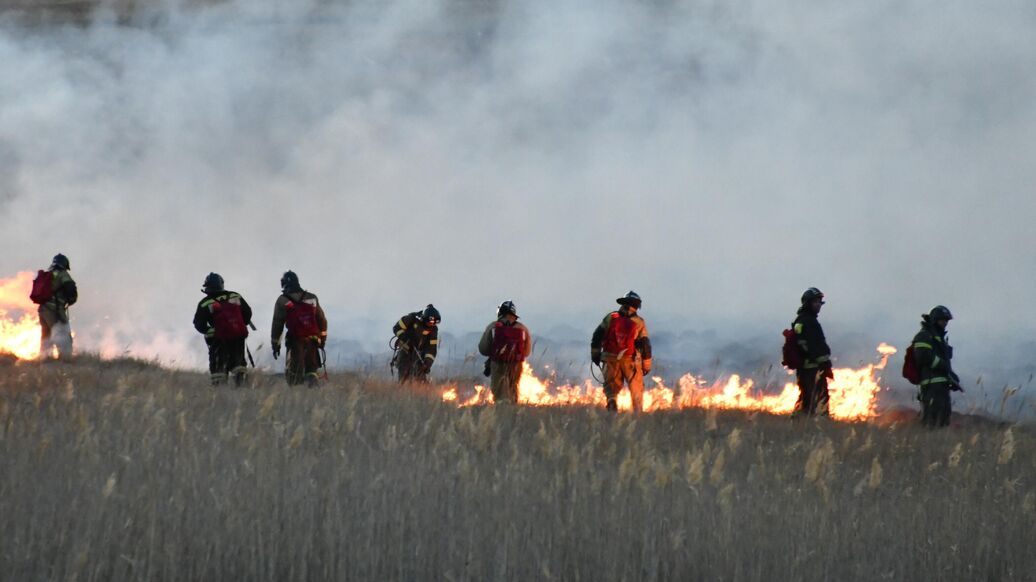 Губернатор Забайкалья раскритиковал патрули, борющиеся с поджигателями леса