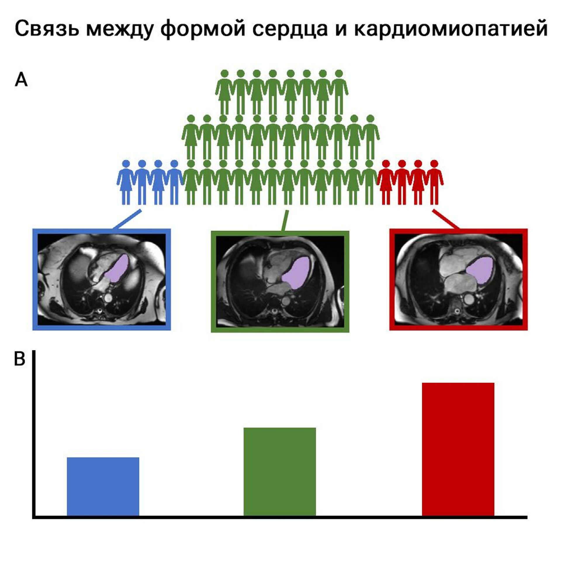 Шар или 