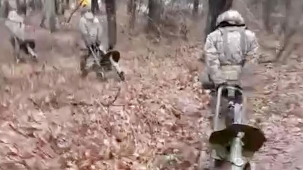 Украинские военные с пулеметами Максим. Кадр из видео