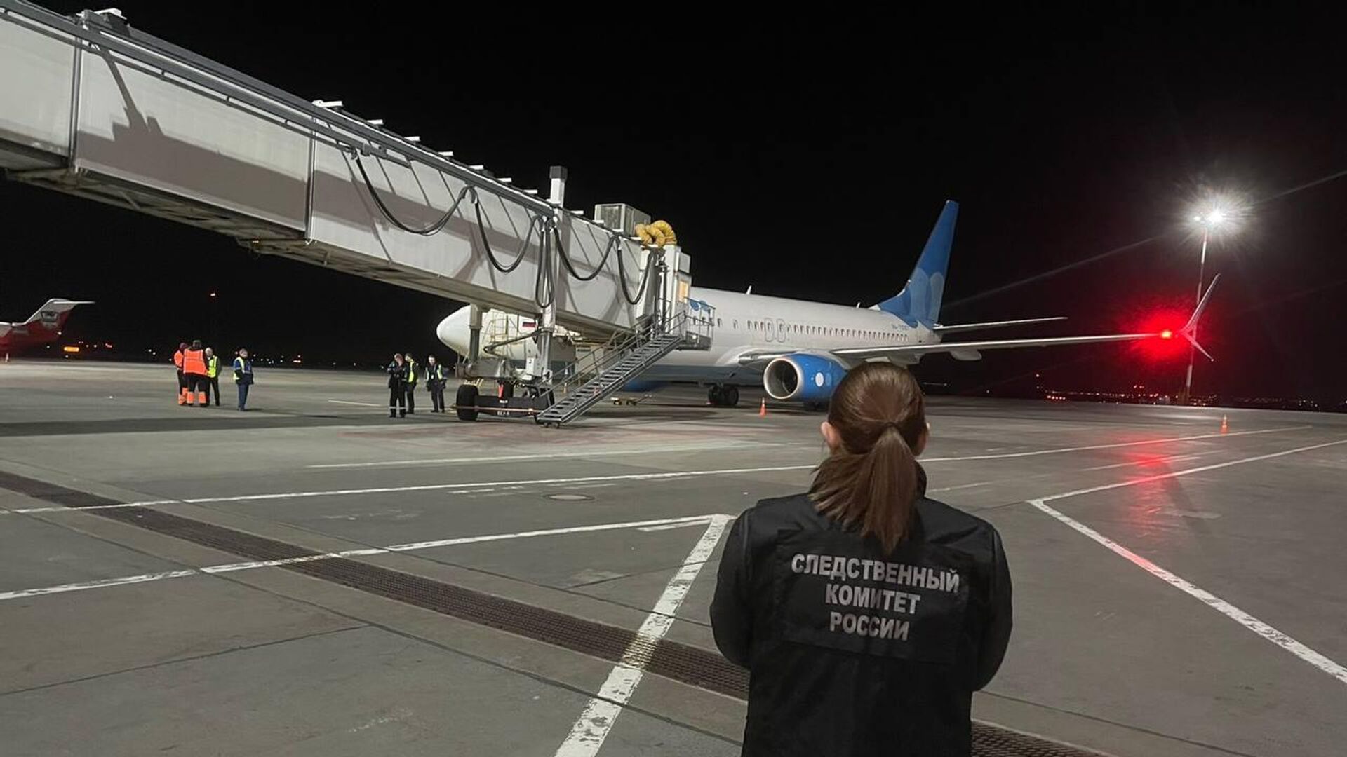 Самолёт выполнявший рейс Санкт Петербург - Самара, при совершении посадки в аэропорту Курумоч 03.04.2023 в 21:40, совершил столкновение с птицами - РИА Новости, 1920, 04.04.2023