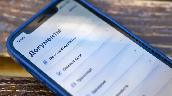 Приложение Госуслуги на экране смартфона