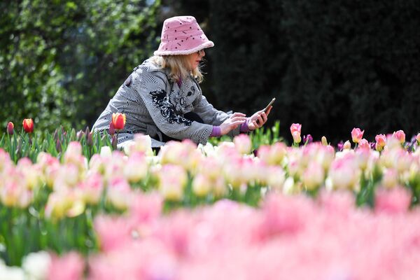 Посетительница фотографирует цветы на открытии ежегодной выставки Парад тюльпанов в Никитском ботаническом саду в Крыму