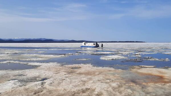 Около сотни рыбаков сняли с оторвавшейся льдины на юге Сахалина