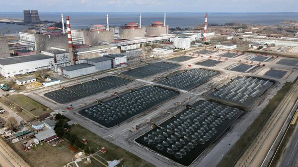 Киев сорвал ротацию миссии МАГАТЭ на Запорожской АЭС, сообщил Рогов