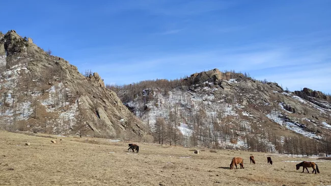  Монгольский пейзаж