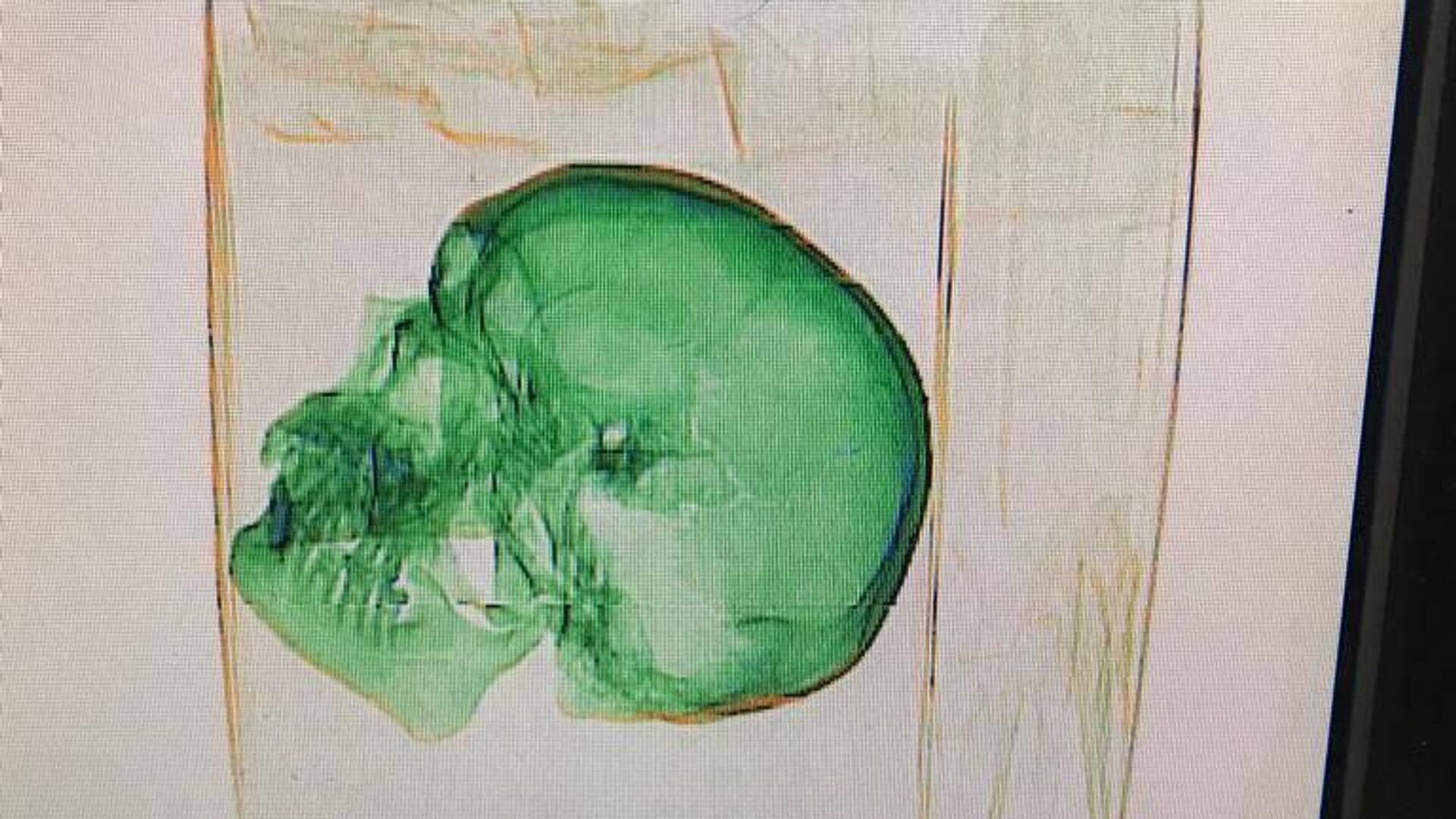 Человеческий череп в посылке в США, найденный в логистическом центре Внуково - РИА Новости, 1920, 10.04.2023