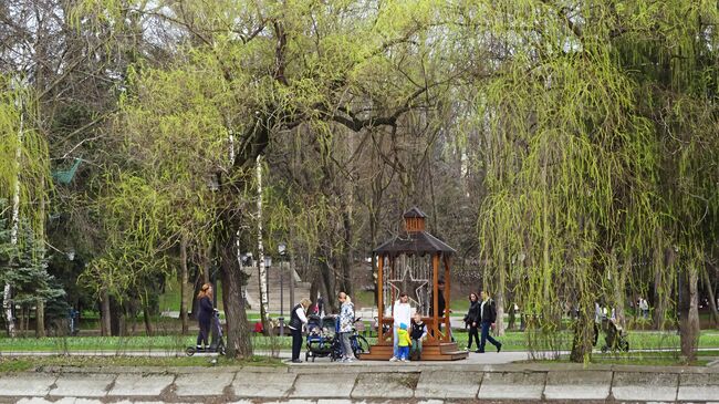 На берегу пруда в парке Хетагурова