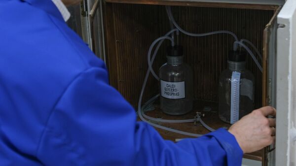 Лабораторные анаэробные реакторы для биологической очистки сточных вод в термостате, подготовка эксперимента