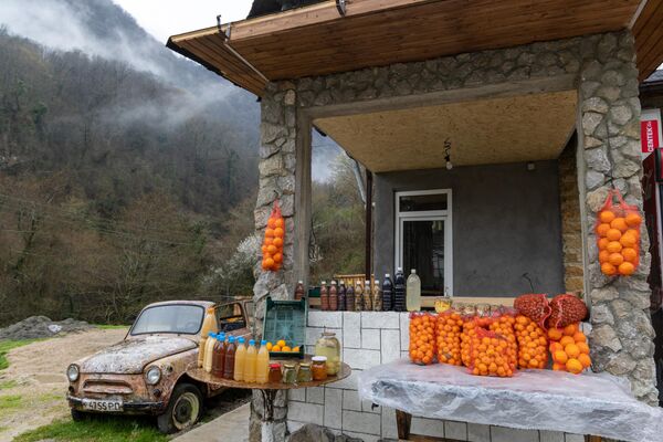 Рынок мандаринов, Абхазия