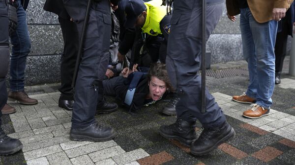 Задержание протестующего во время визита президента Франции Эммануэля Макрона в Амстердам