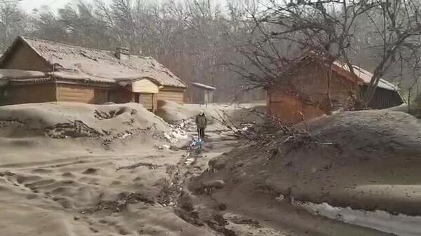 Местная жительница расчищает участок, занесенный пеплом в результате извержения вулкана Шивелуч в Усть-Камчатском районе