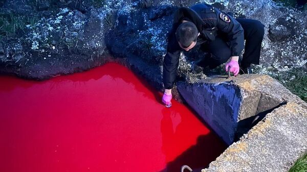 Водоемы с водой красного цвета с резким химическим запахом появились в Белгородской области