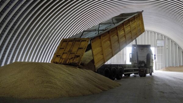 Выгрузка зерна в хранилище в поселке Згуровка, Украина