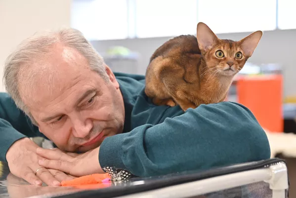 Мужчина с котенком абиссинской породы на выставке КоШарики Шоу в Москве